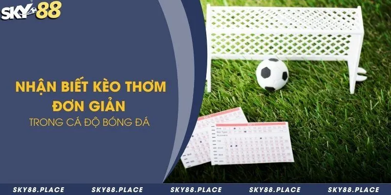 Kèo thơm là gì? 4 dấu hiệu nhận biết chuẩn xác kèo thơm 2 Nhận biết kèo thơm đơn giản trong cá độ bóng đá