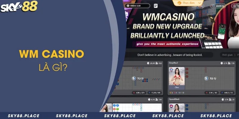 WM Casino - Sảnh đánh với nhiều trò chơi mới lạ hấp dẫn 1 WM Casino là gì?
